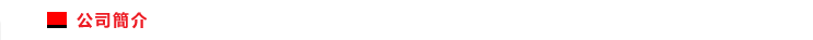 公司簡介